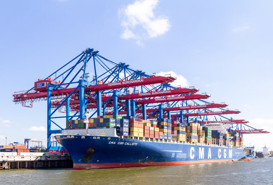 Team managing logistics operations